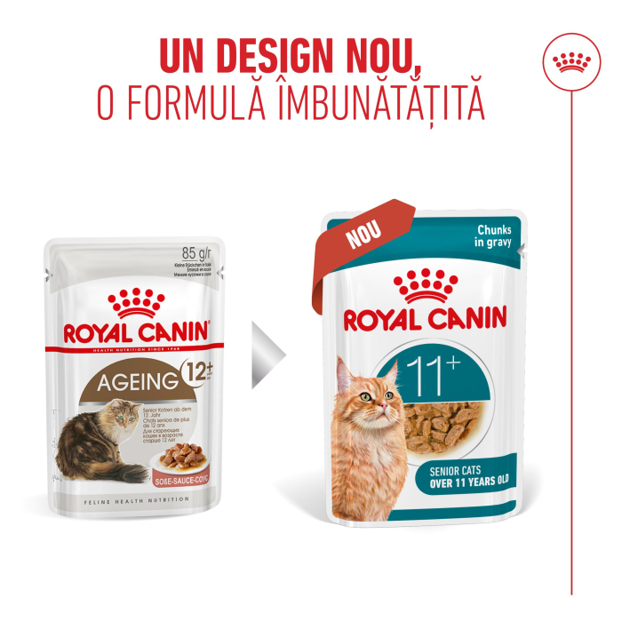 Royal Canin Ageing 11+ hrana umeda pentru pisici in sos, 12 x 85g [11]