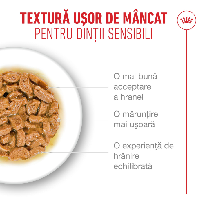 Royal Canin Ageing 11+ hrana umeda pentru pisici in sos, 12 x 85g [6]