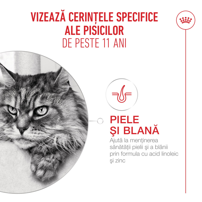 Royal Canin Ageing 11+ hrana uscata pentru pisici, 4kg [5]