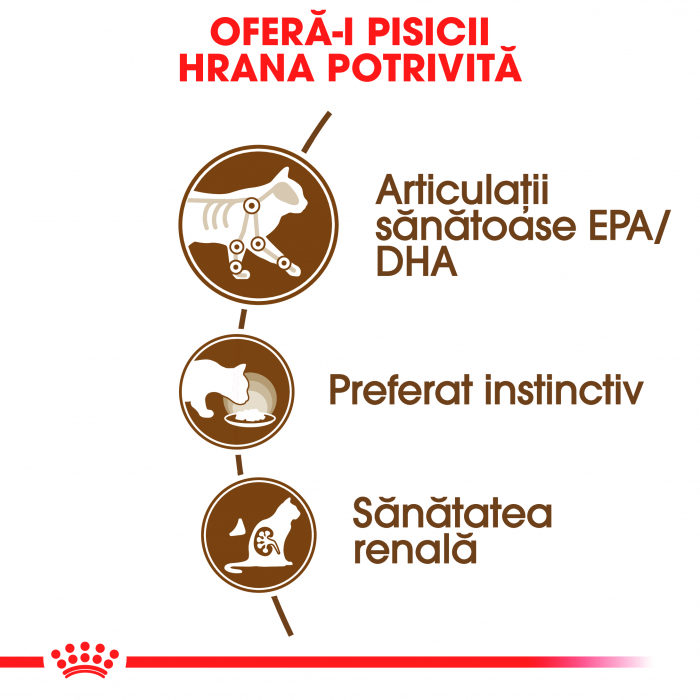 Hrana umeda pentru pisici Royal Canin Ageing 12+, Senior, 12 x 85g [4]