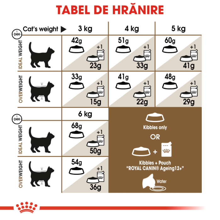 Royal Canin Ageing 12 + hrana uscata pisica senior, 400 g [9]