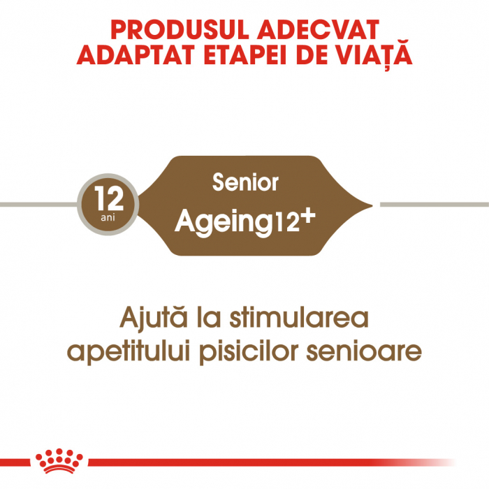 Royal Canin Ageing 12 + hrana uscata pisica senior, 400 g [5]