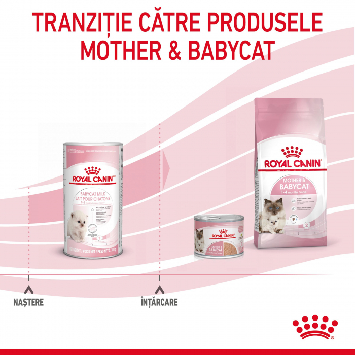 Royal Canin BabyCat Milk inlocuitor lapte matern pisica, 300 g [8]