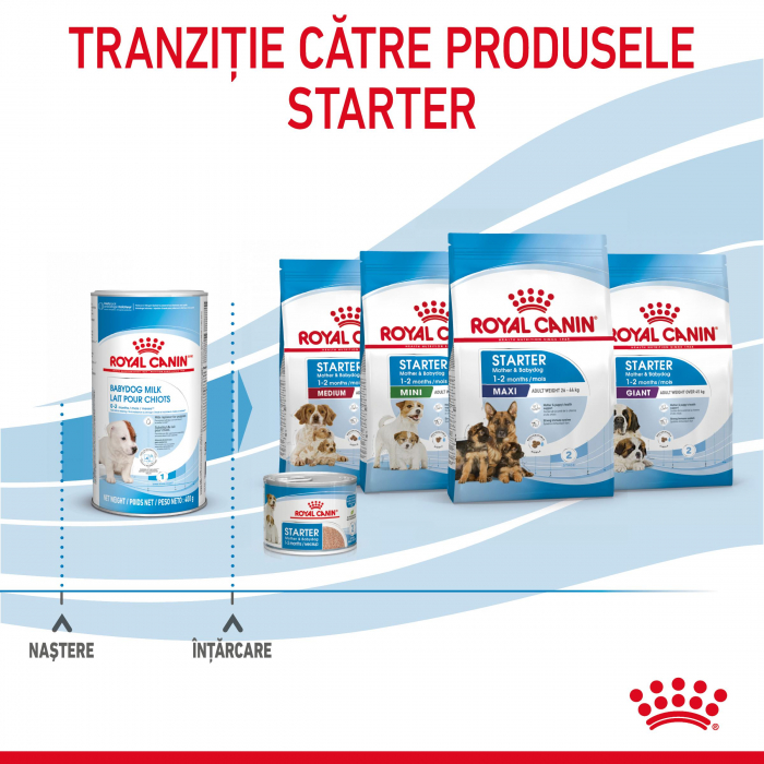 Royal Canin Babydog Milk inlocuitor lapte matern caine, 400 g [8]