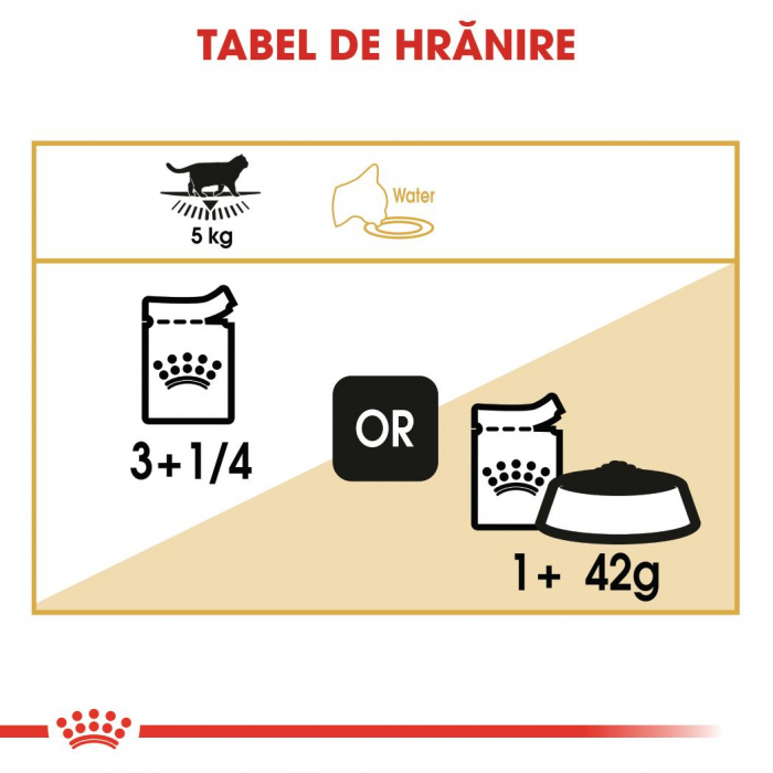 Hrana umeda pentru pisici Royal Canin British Shorthair Adult, 12 x 85g [6]