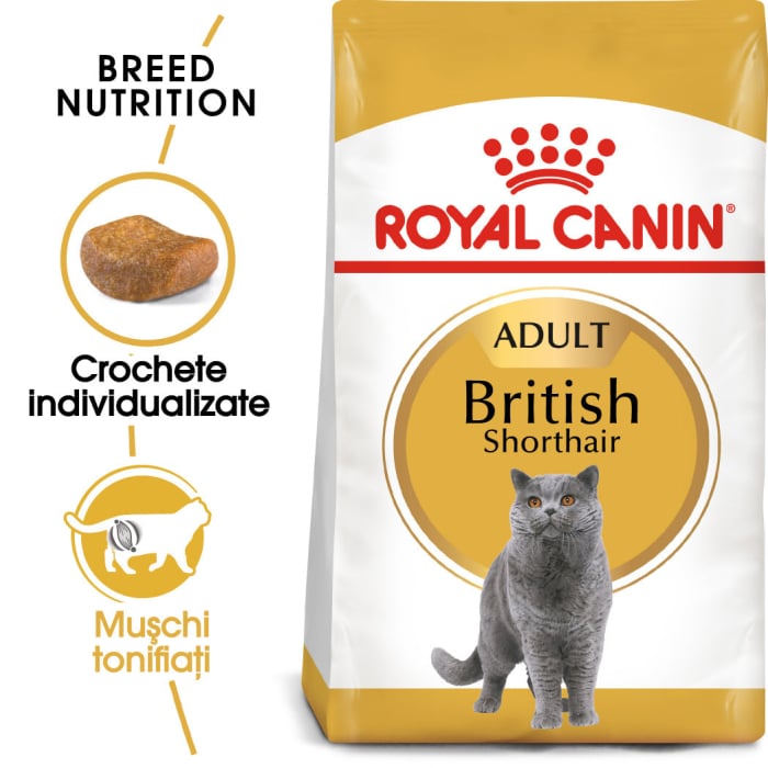 Royal Canin British Shorthair Adult hrana uscata pisica, 2 kg [1]