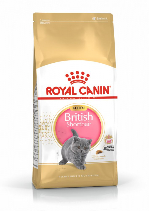 Royal Canin British Shorthair Kitten hrana uscata pisica junior, 10 kg [2]