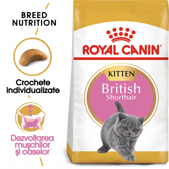 Hrana uscata pentru pisici Royal Canin British Shorthair Kitten, Junior, 10kg