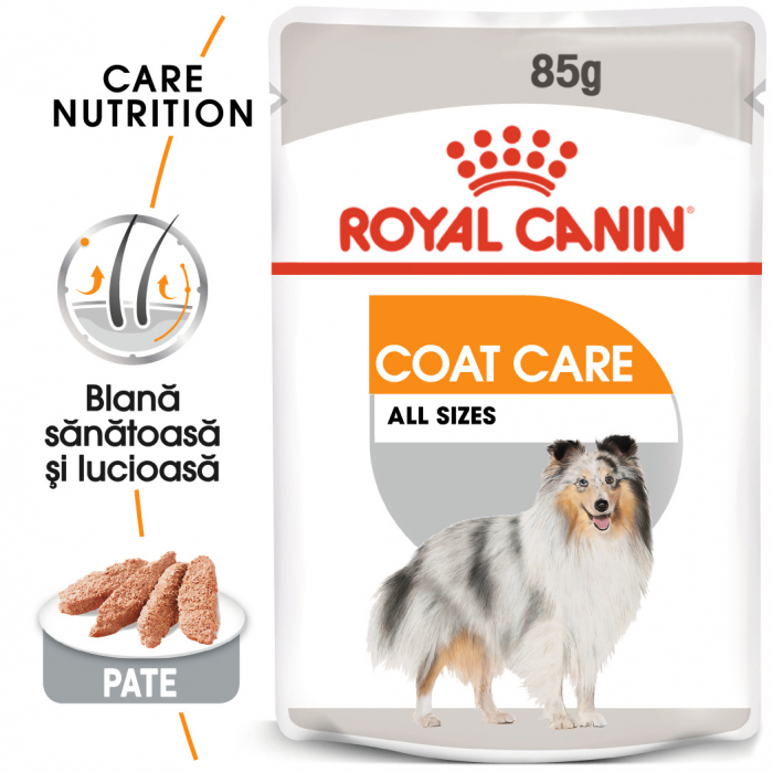 Hrana umeda pentru caini Royal Canin Coat Care Adult, 12 x 85g [3]
