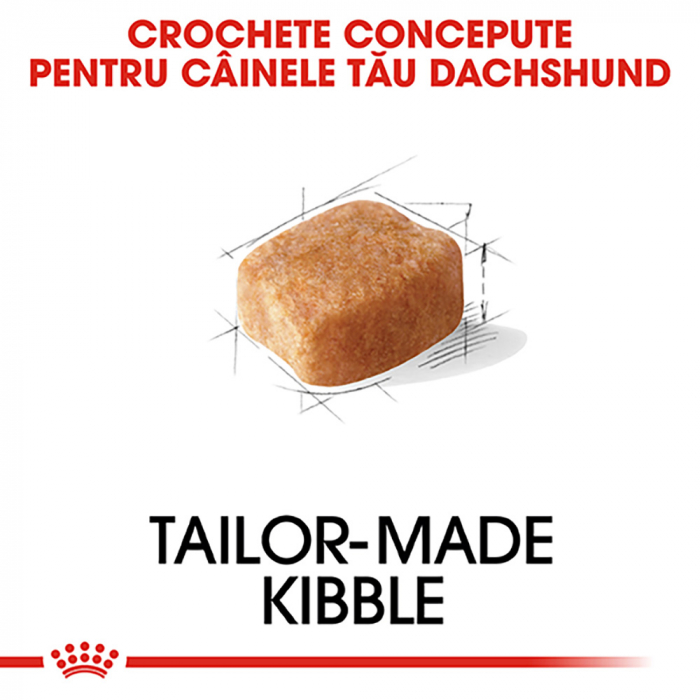 Hrana uscata pentru caini Royal Canin Dachshund Adult, 1.5kg [5]