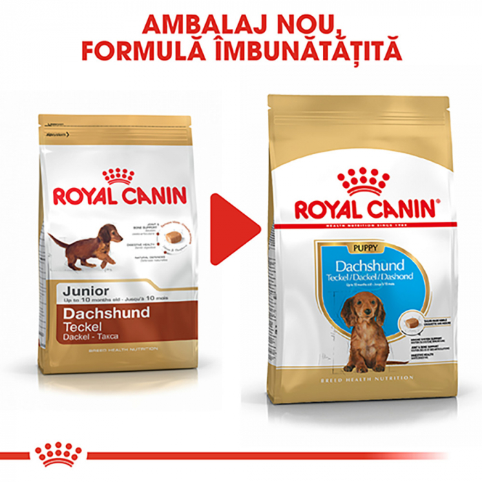 Royal Canin Dachshund Puppy hrana uscata caine junior Teckel, 1.5 kg [3]