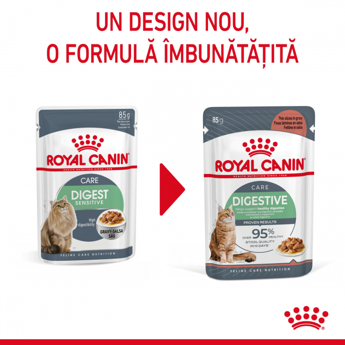 Royal Canin Digest Sensitive Care Adult hrana umeda pisica, confort digestiv (in sos), 12 x 85 g [3]