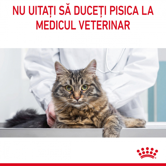 Royal Canin Digestive Care Adult hrana uscata pisica, confort digestiv, 10 kg [10]