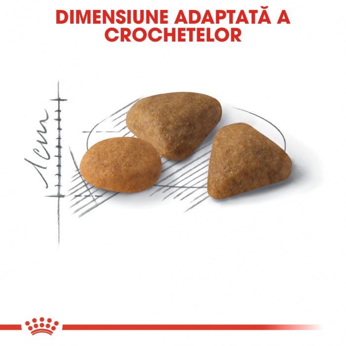 Royal Canin Exigent Savour Adult hrana uscata pisica, apetit capricios, 400 g [6]