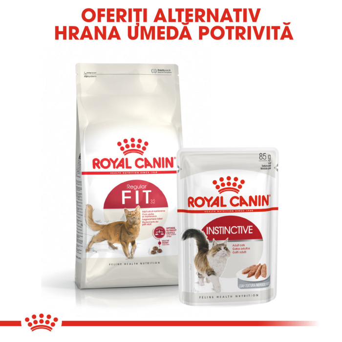 Royal Canin Fit32 Adult hrana uscata pisica cu activitate fizica moderata, 15 kg [5]