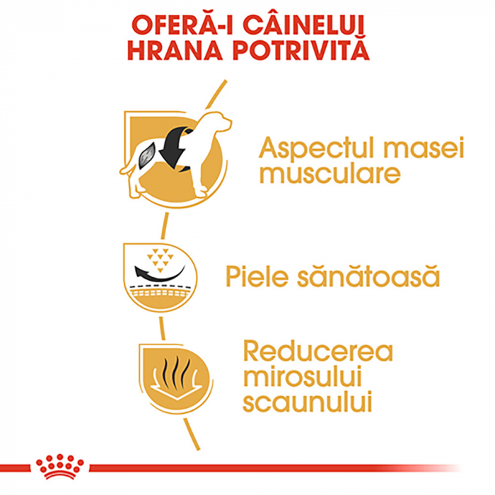 Royal Canin French Bulldog Adult hrana uscata caine, 3 kg [4]