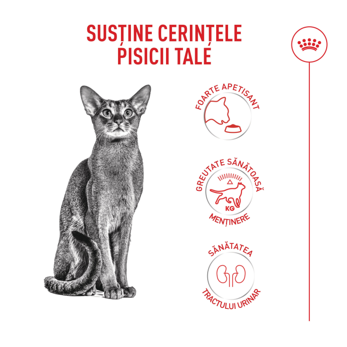 Royal Canin Fussy Exigent hrana uscata pentru pisici, 2 kg [4]