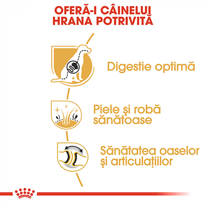 Royal Canin German Shepherd Adult hrana uscata caine Ciobanesc German, 11 kg [4]