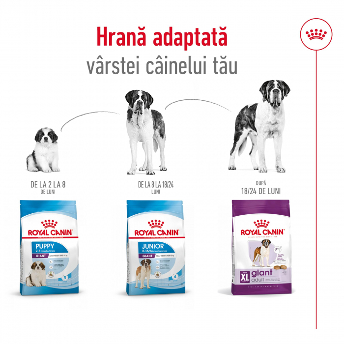 Hrana uscata pentru caini Royal Canin Giant, Adult, 15 + 3kg Gratis [4]