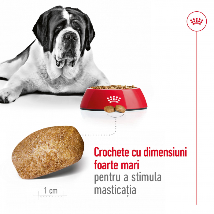 Hrana uscata pentru caini Royal Canin Giant, Adult, 15 + 3kg Gratis [3]
