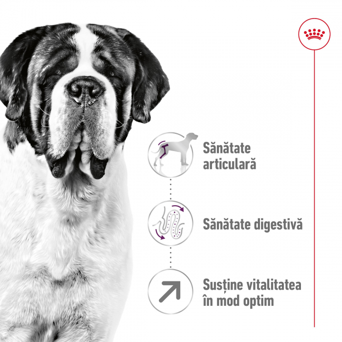 Royal Canin Giant Adult hrana uscata caine, 15 kg [4]