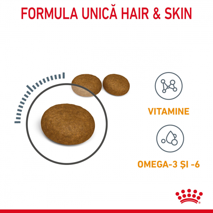 Royal Canin Hair&Skin Care Adult hrana uscata pisica, piele si blana, 4 kg [6]