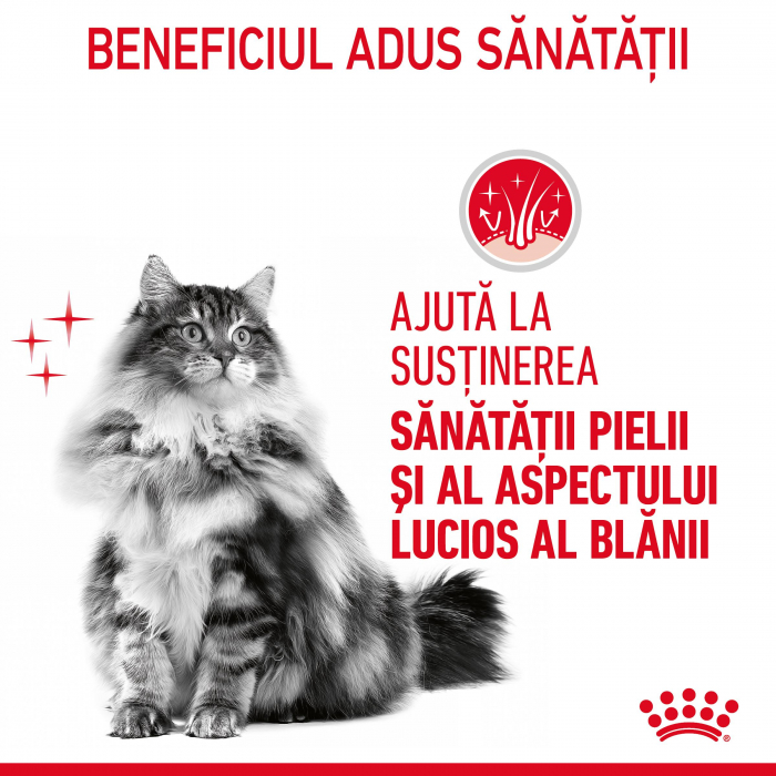 Hrana umeda pentru pisici Royal Canin Hairball Care Adult, In aspic, 12 x 85g [9]