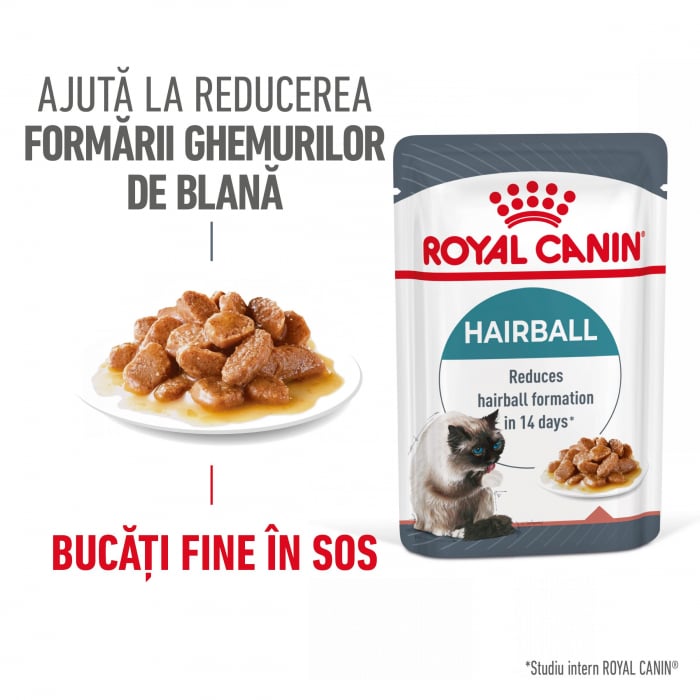 Royal Canin Hairball Care Adult hrana umeda pisica, limitarea ghemurilor de blana (in sos), 12 x 85 g