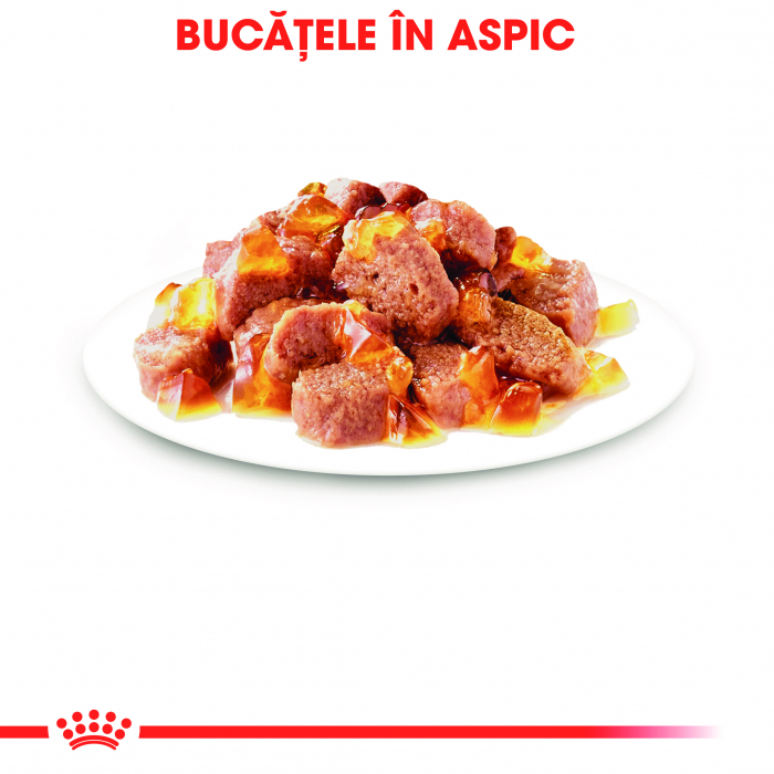 Royal Canin Instinctive Adult hrana umeda pisica (aspic), 12 x 85 g [6]