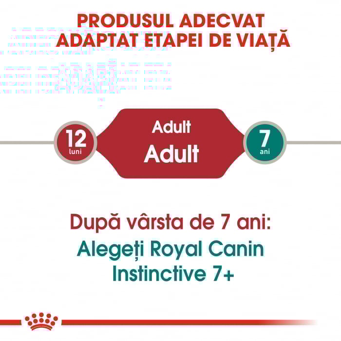 Royal Canin Instinctive Adult hrana umeda pisica (in sos), 12 x 85 g [4]