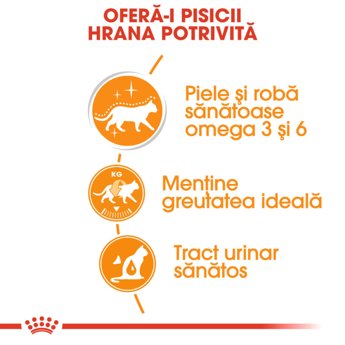 Hrana umeda pentru pisici Royal Canin Intense Beauty Care Adult, 12 x 85g [3]