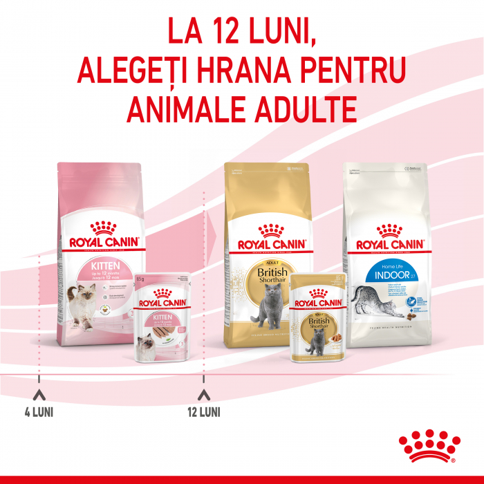 Royal Canin Kitten hrana umeda pisica (pate), 12 x 85 g [9]