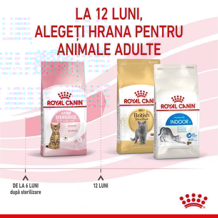 Royal Canin Kitten Sterilised hrana uscata pisica sterilizata junior, 400 g [7]