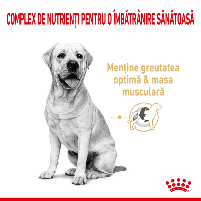 Royal Canin Labrador Adult 5+  hrana uscata caine senior, 12 kg [2]
