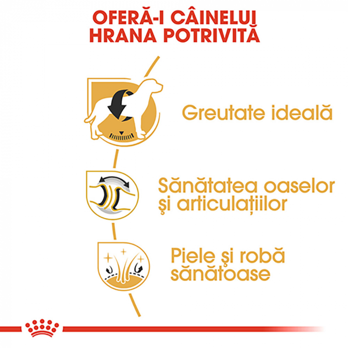 Royal Canin Labrador Adult hrana uscata caine, 12 kg [4]