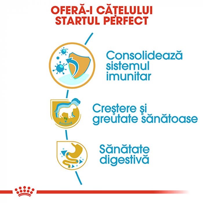 Royal Canin Labrador Puppy hrana uscata caine junior, 3 kg [4]