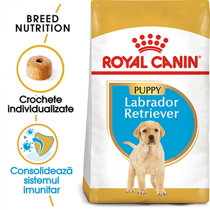 Royal Canin Labrador Puppy hrana uscata caine junior, 3 kg