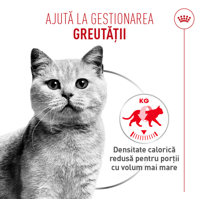 Royal Canin Light Weight Care Airlift Mousse, hrana umeda pentru pisici, 85g [6]