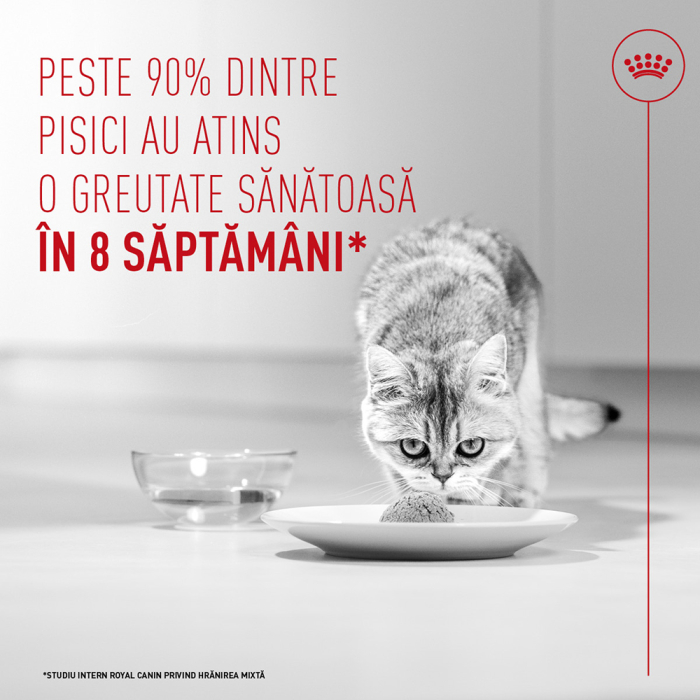 Royal Canin Light Weight Care Airlift Mousse, hrana umeda pentru pisici, 85g [5]