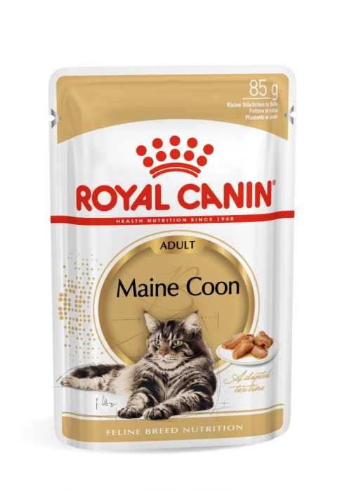 Hrana umeda pentru pisici Royal Canin Maine Coon Adult, 12 x 85g [2]