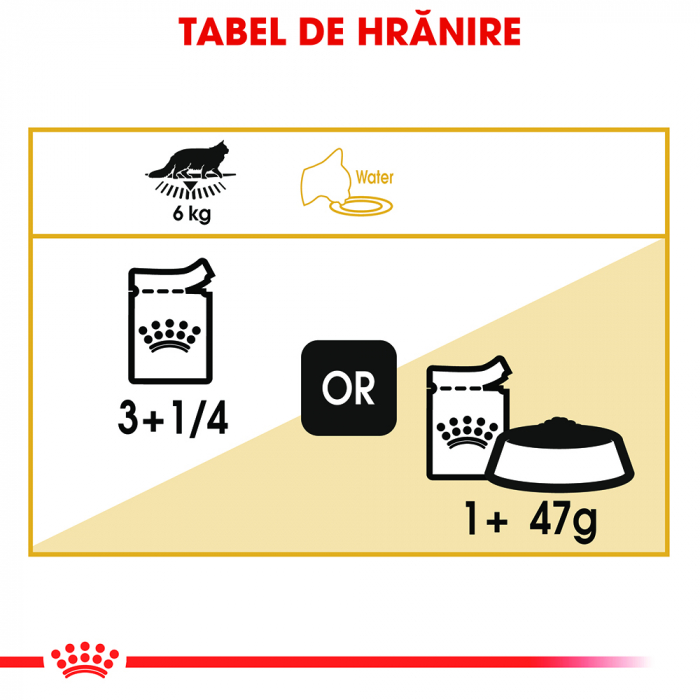 Hrana umeda pentru pisici Royal Canin Maine Coon Adult, 12 x 85g [8]