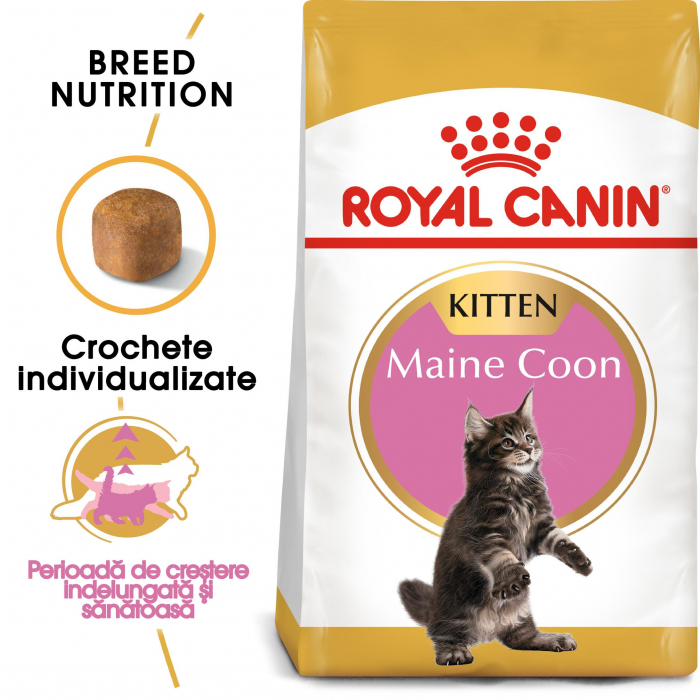 Hrana uscata pentru pisici Royal Canin Maine Coon Kitten, Junior, 10kg