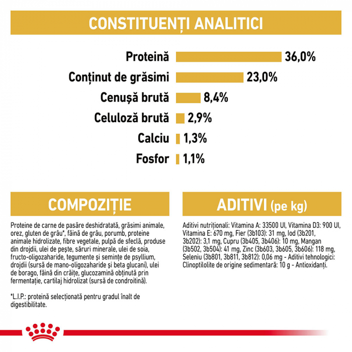 Royal Canin Maine Coon Kitten hrana uscata pisica junior, 10 kg [8]