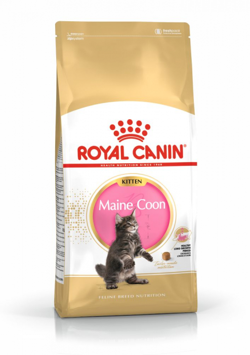 Royal Canin Maine Coon Kitten hrana uscata pisica junior, 10 kg [2]