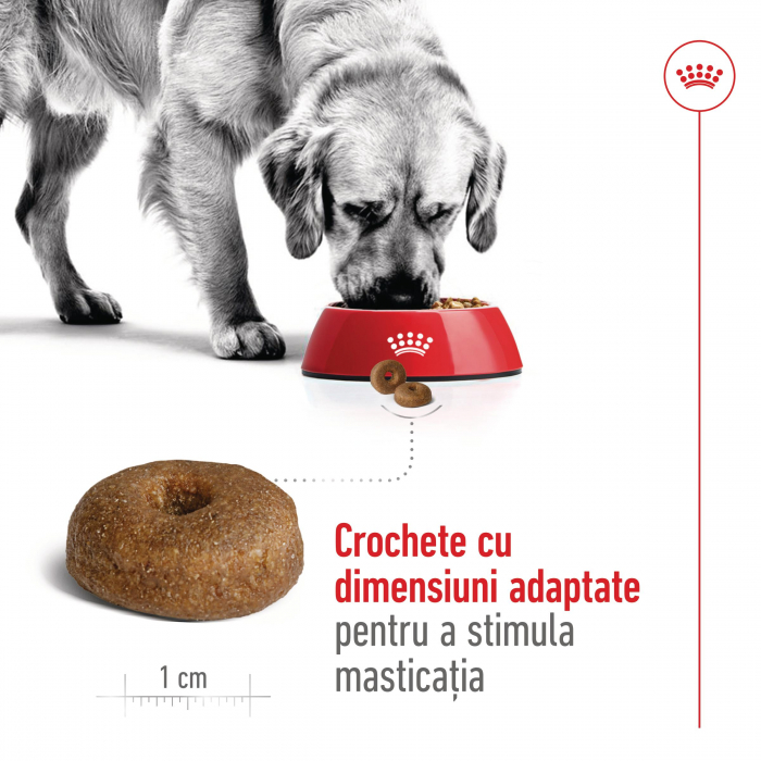 Royal Canin Maxi Ageing 8+ hrana uscata caine senior, 15 kg [6]