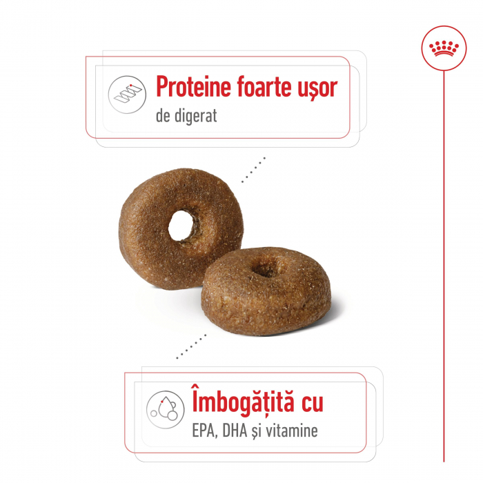 Royal Canin Maxi Ageing 8+ hrana uscata caine senior, 15 kg [7]