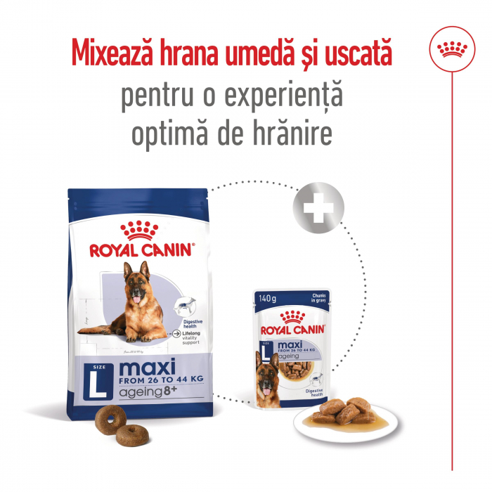 Royal Canin Maxi Ageing 8+ hrana uscata caine senior, 15 kg [9]