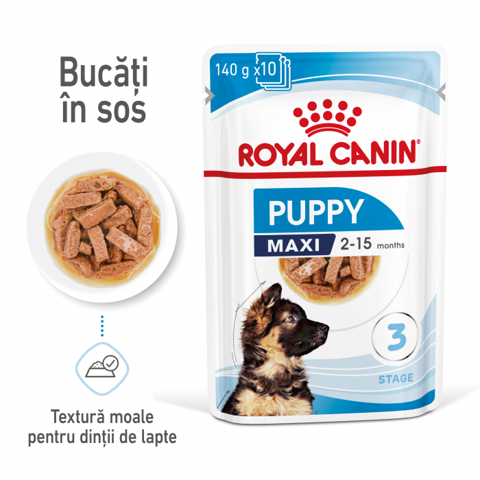 Royal Canin Maxi Puppy hrana umeda caine junior (in sos), 10 x 140 g