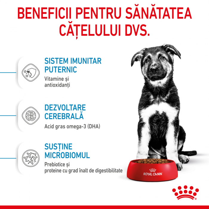 Royal Canin Maxi Puppy hrana uscata caine junior, 15 kg [5]