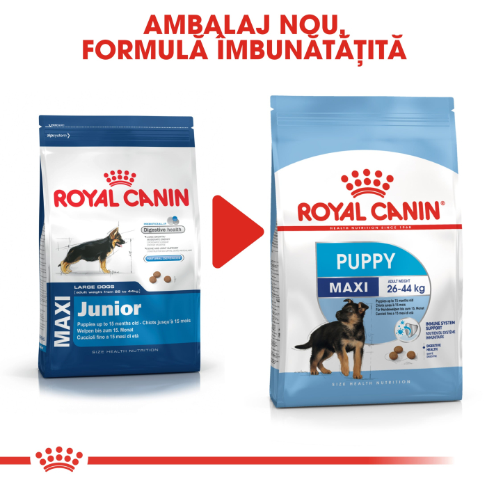 Royal Canin Maxi Puppy hrana uscata caine junior, 4 kg [6]